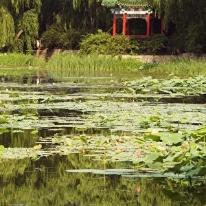 A pavilion among lily pads on a lake at Yuanmingyuan (Old Summer Palace)