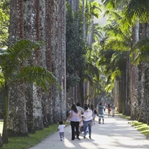 People at Botanical Gardens (Jardim Botanico), Rio de Janeiro, Brazil, South America