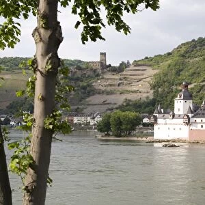 Pfalzgrafenstein castle along the River Rhine, Rhineland-Palatinate, Germany, Europe