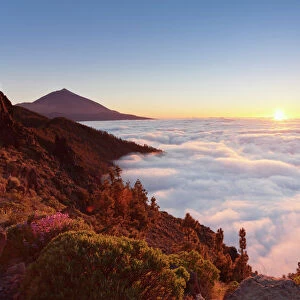 Pico del Teide at sunset, National Park Teide, UNESCO World Heritage Site, Tenerife