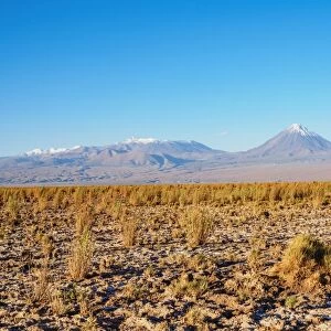 Salar de Atacama, Atacama Desert, Antofagasta Region, Chile, South America
