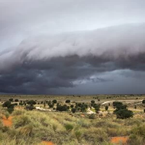 Storm clouds threaten the Kalahari, Kgalagadi Transfrontier Park in summer, Northern Cape, South Africa, Africa
