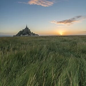 Sunrise with grass in the foreground, Normandy, France, Europe