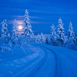 Super moon (full moon) landscape, Lapland, Pallas-Yllastunturi National Park, Lapland