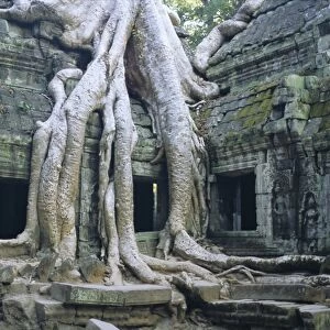 Ta Prohn, Angkor, Siem Reap, Cambodia, Indochina, Asia