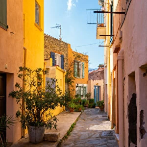 Traditional village street with colorful houses, Collioure, Pyrenees Orientales, France, Europe