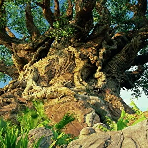 The Tree of Life, Animal Kingdom, Disneyworld, Orlando, Florida, United States of America