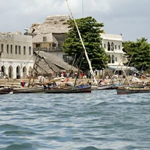 Vew from the sea of the harbour, Old Town, Lamu Island, UNESCO World Heritage Site
