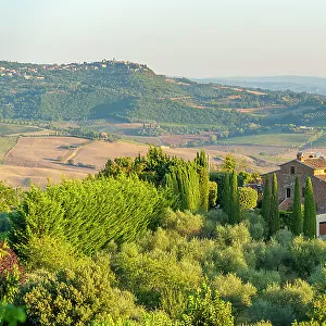 View of chateau, olive trees and vineyards, Montepulciano, Province of Siena, Tuscany, Italy, Europe