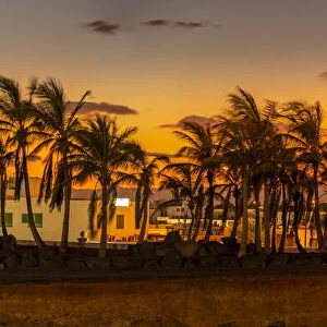 View of golden sunset through palm trees, Playa Blanca, Lanzarote, Canary Islands, Spain