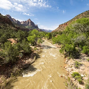 View of the Watchman down the Virgin River, Zion National Park, Utah, United States