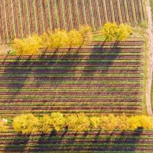 Aerial view of Franciacorta in autumn season, Brescia province, Lombardy district, Italy