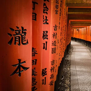 Foreshortening of Fushimi Inari-taisha Temple, Kyoto, Japan