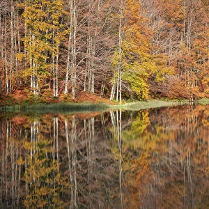 the forest with its autumn colors reflected in the Pranda Lake