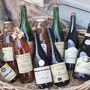 France, Normandy, Honfleur, Liquor Shop display of Cider Bottles