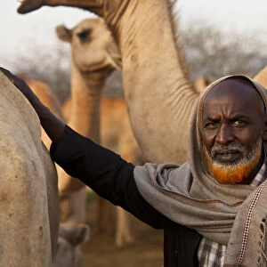 Isiolo, Northern Kenya. A traditional Somali nomadic herdsmen