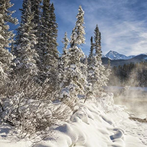 Mist over Bow River in Winter, Banff National Park, Alberta, Canada