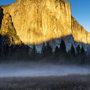 Mist Below El Capitan, Yosemite National Park, California, USA
