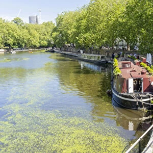 Regents canal, Little venice, London, England, UK