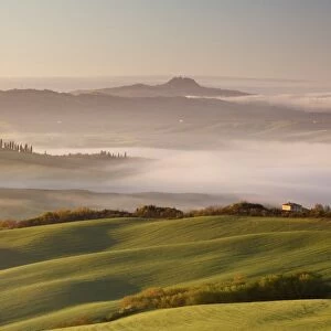 The rolling hills. San Quirico, Orcia valley, Tuscany, Italy