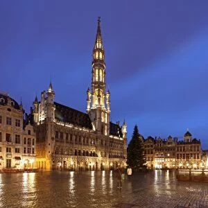 The Town Hall (French: H'tel de Ville), of the City of Brussels is a Gothic building from the Middle Ages. It is located on the famous Grand Place in Brussels, Belgium