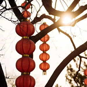 Traditional red Chinese lanterns, Forbidden City, Beijing, China