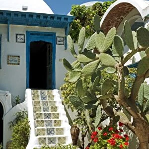 Tunisia, Tunis, Sidi-Bou-Said. Courtyard of a traditional riad or merchants house