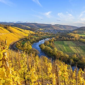 Vineyards with Wiltingen, Saar valley, Hunsruck, Rhineland-Palatinate, Germany