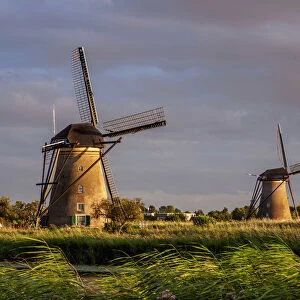 Windmills in Kinderdijk at sunset, UNESCO World Heritage Site, South Holland, The