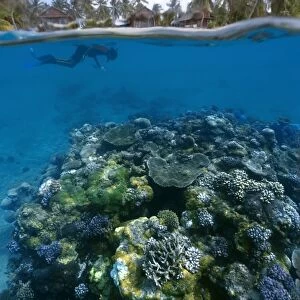 Split image of pristine coral reef, surveyor and island, Rongelap, Marshall Islands, Micronesia