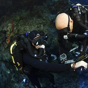 Technical Divers using Trimix, Rebreathers and technical diving equipment, Divetech, Grand Cayman, Cayman Islands, Caribbean