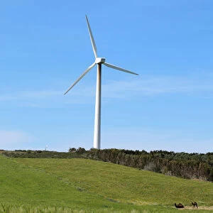 Wind turbine is pictured in El Haouaria