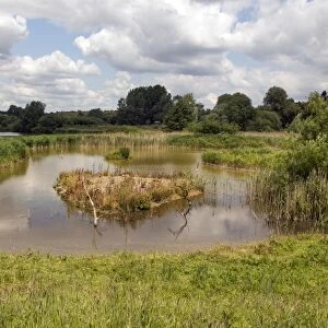 Looking from the main hide over the lakes, note the kingfisher on the post to the right of the first Island
