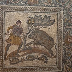 Roman mosaic from villa, hunting wild boar, National Museum of Roman Art, Merida, Extremadura, Spain