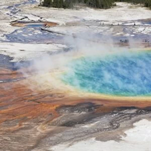 Thermophile bacterial mats and steam rising from hotspring, with tourists on boardwalk, Grand Prismatic Spring