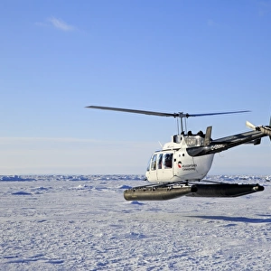 Tourist helicopter in flight over pack ice, departing to visit Harp Seal (Pagophilus groenlandicus) colony