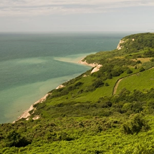 View of coastline, viewed from Hastings Country Park, Covehurst Bay, English Channel, East Sussex, England, july