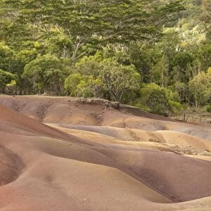 View of sand dunes comprising of different coloured sands, caused by decomposed basalt gullies of ferralitic soil, red colour caused by iron sesquioxydes and blue colour caused by aluminium sesquioxydes, Seven Coloured Earths, Chamarel