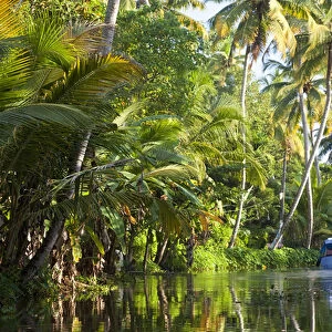 Backwaters, Alappuzha or Alleppey, Kerala, India