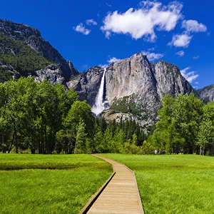 Boardwalk through meadow under Yosemite Falls, Yosemite National Park, California USA