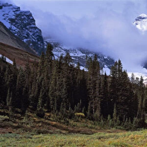 Canada, Alberta, Mt Saskatchewan. Clouds mask Mt. Saskatchewan in Banff NP, a World Heritage Site