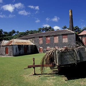 Caribbean, Barbados, St. Peter Parish St. Nicholas Abbey Sugar Mill