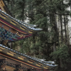 Decorative Japanese Temple roof against background of trees