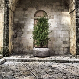 Italy, Bari, Apulia, Monopoli. Arch with potted plants in the courtyard near the Basilica