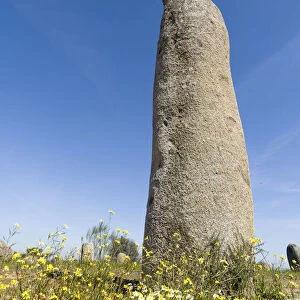 Menhir de Outeiro near Monsaraz in the Alentejo. Europe, Southern Europe, Portugal