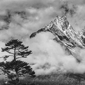 Nepal Himalayas Mountain and Tree