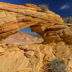 Sandstone arch in the Vermillion Cliffs Wilderness, Arizona, USA