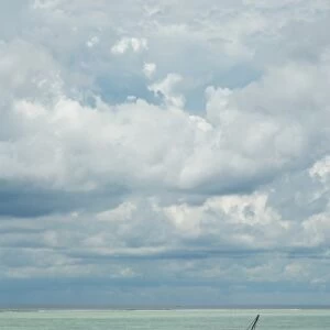 Tanzania: Zanzibar, view of Indian Ocean and local fishing boat from Matamwe Beach