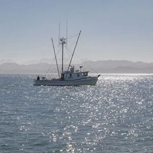 USA, Alaska, Craig. Trawler in Gulf of Esquibel