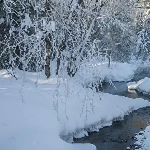 USA, Alaska, Fairbanks. Chena River in winter